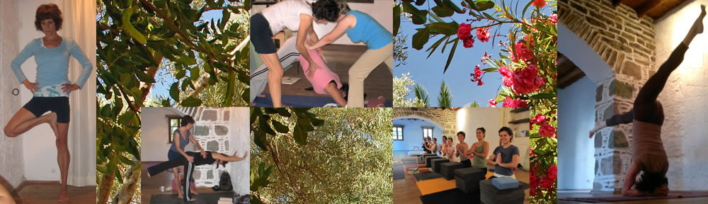 About Monica Collage Header